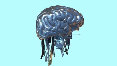 Anthropic bans ‘abusive or cruel behavior’ toward Claude