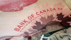 Canadian Business Outlook Gloomy as Tariffs Persist