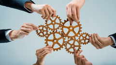 Bank Earnings Spotlight Treasury Innovation as a Growth Engine